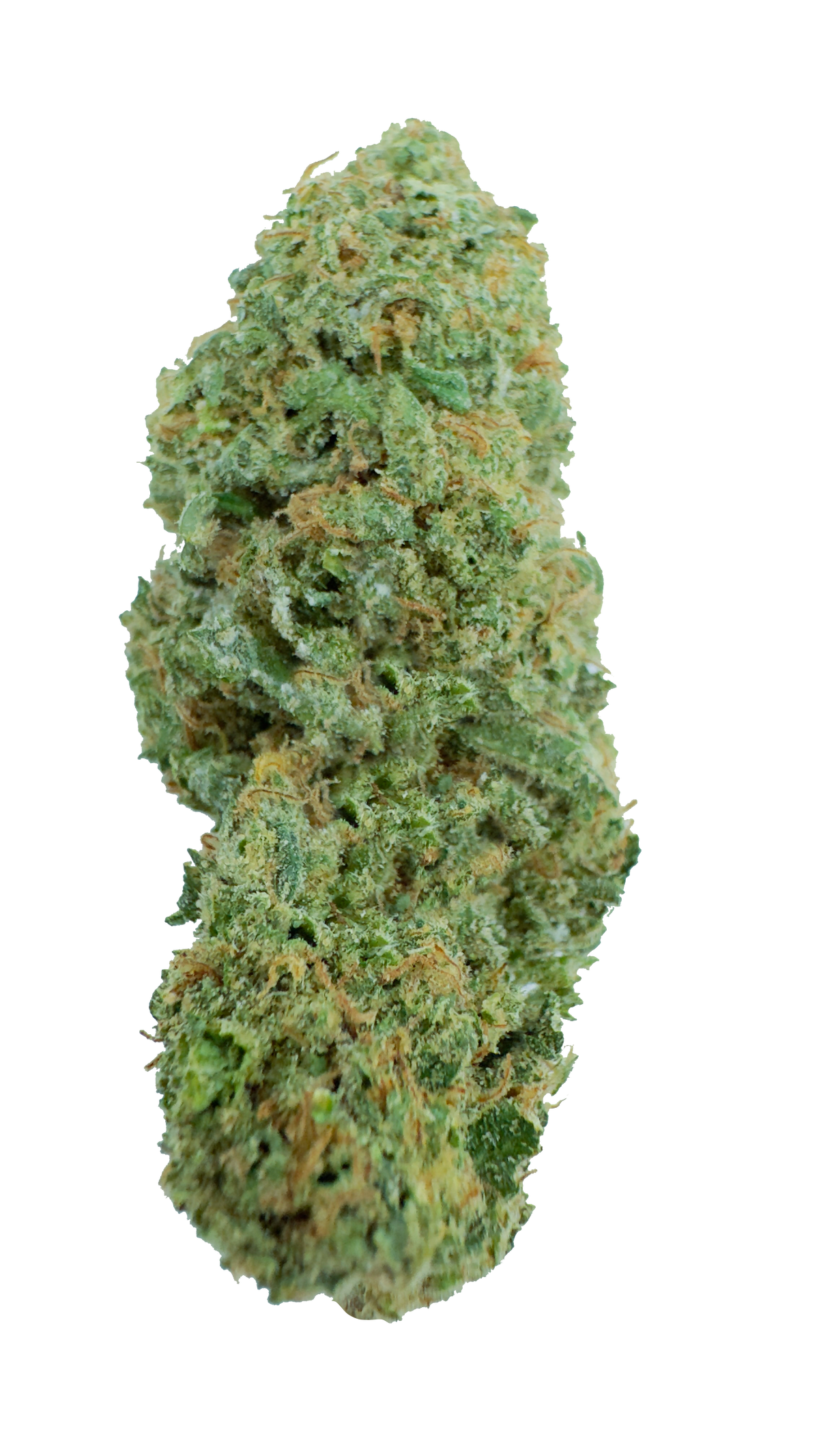 Harlequin CBD
