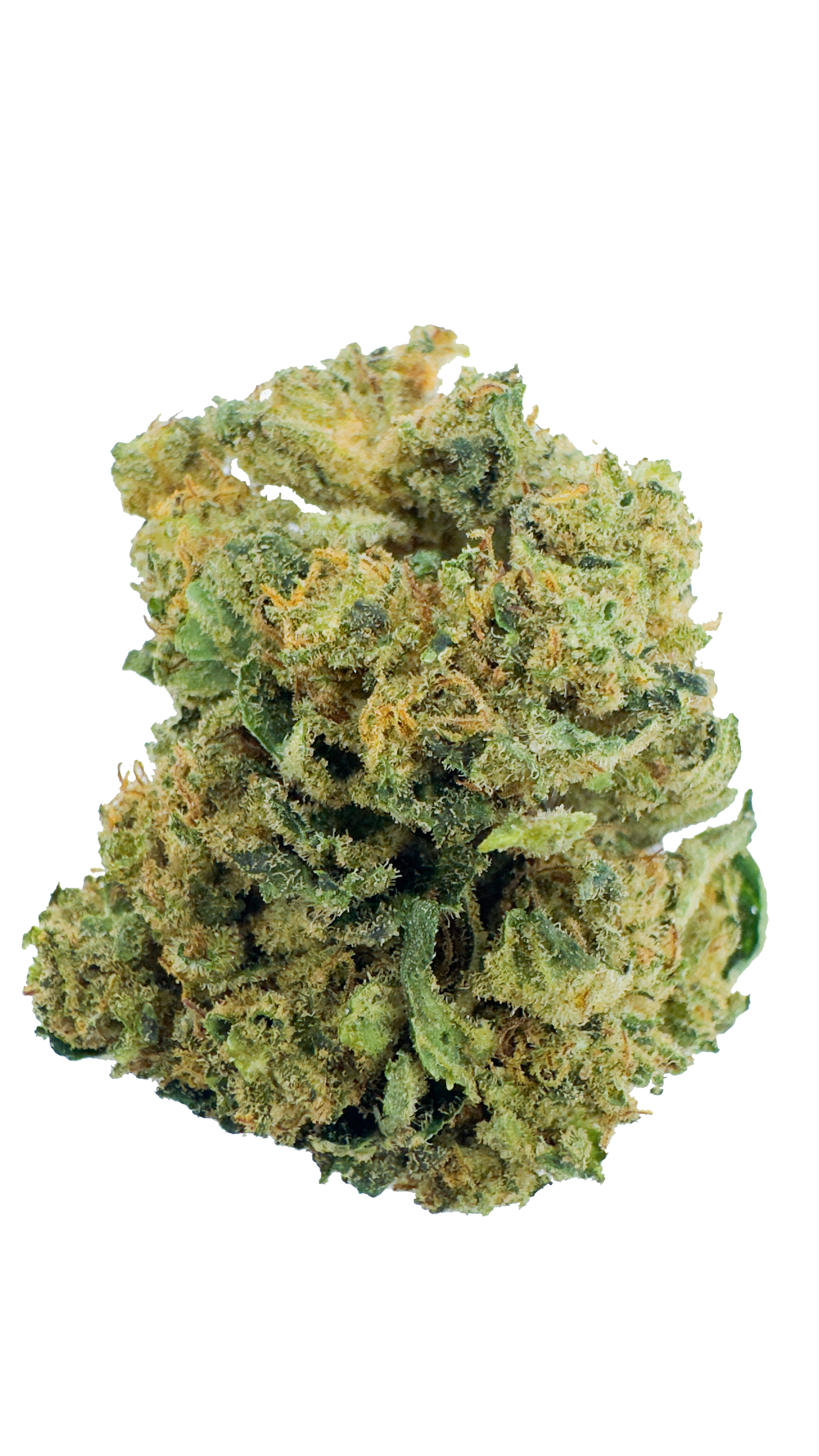 Tropical CBD-X