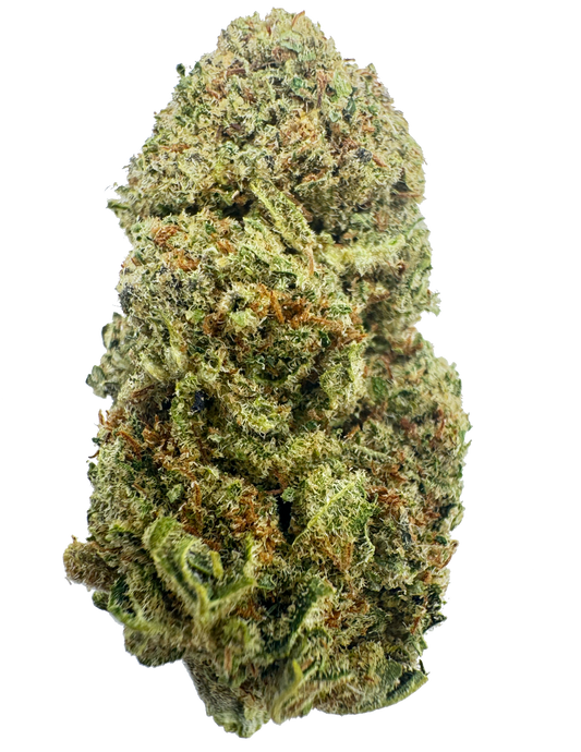 Dom Perignon CBD