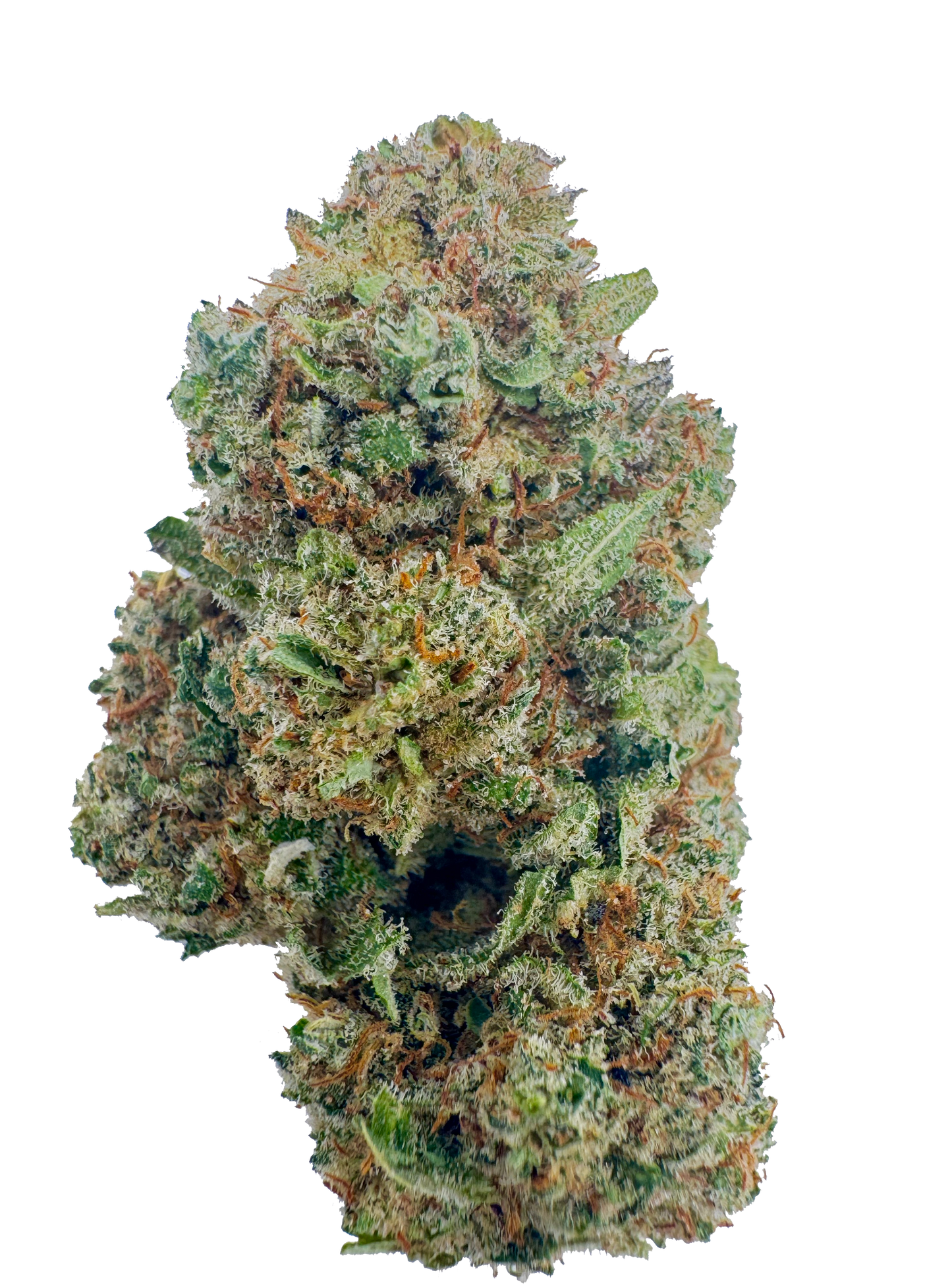 Donutz CBD