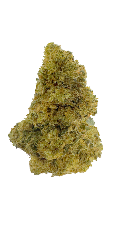 Mango N10