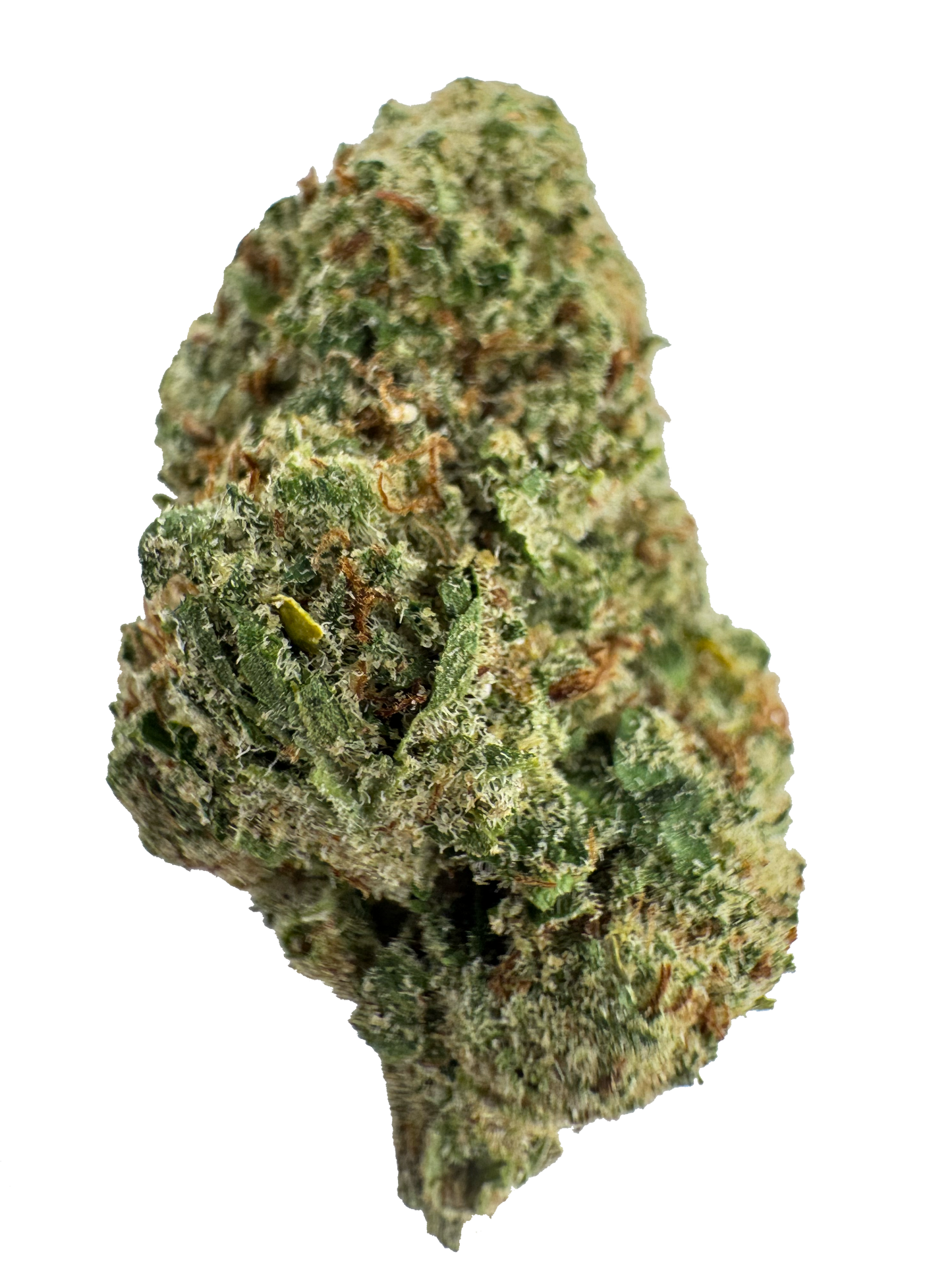 Rainbow Kush CBD