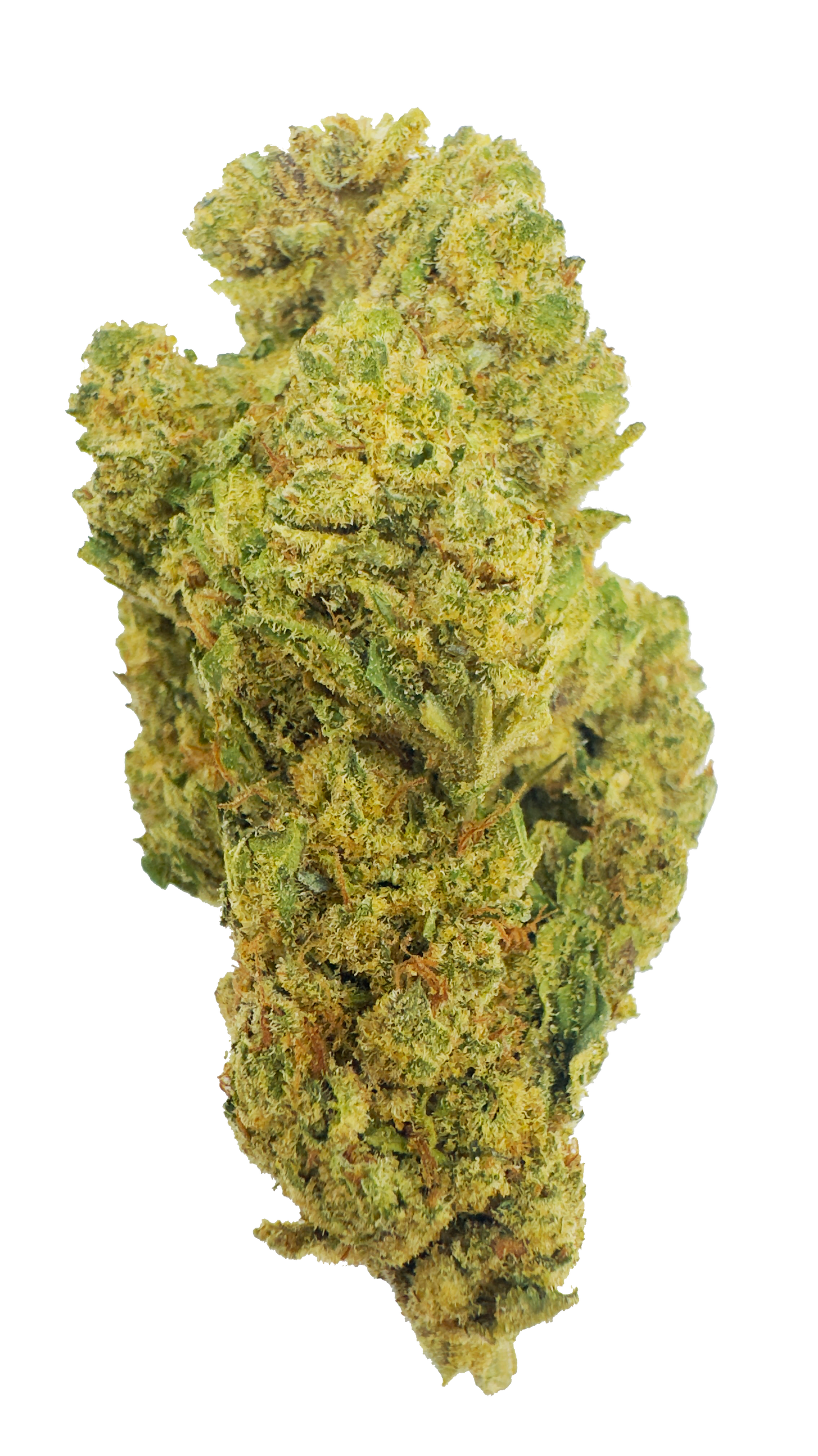 Ghost CBD