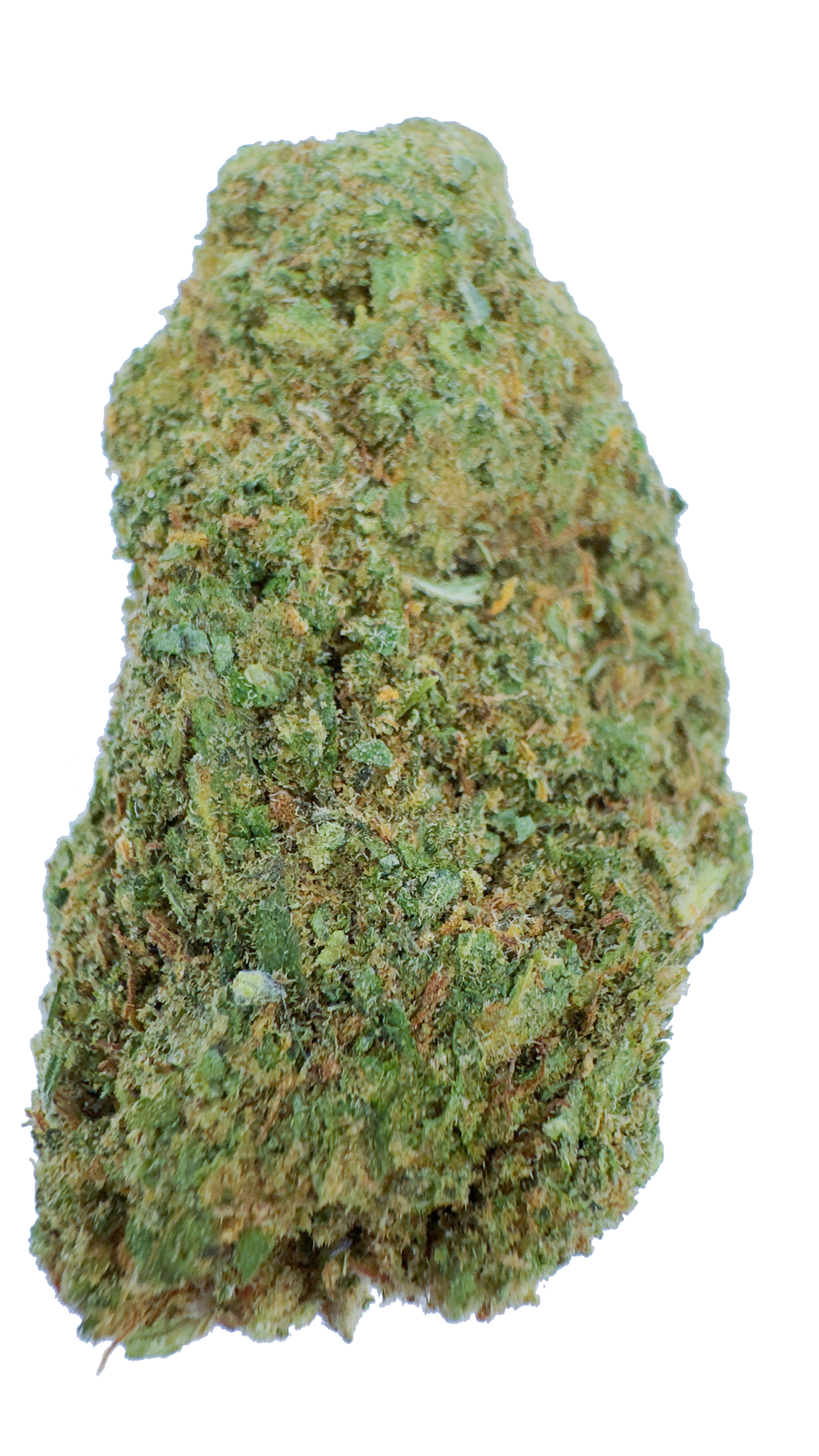 Girl Scoot Cookies CBD