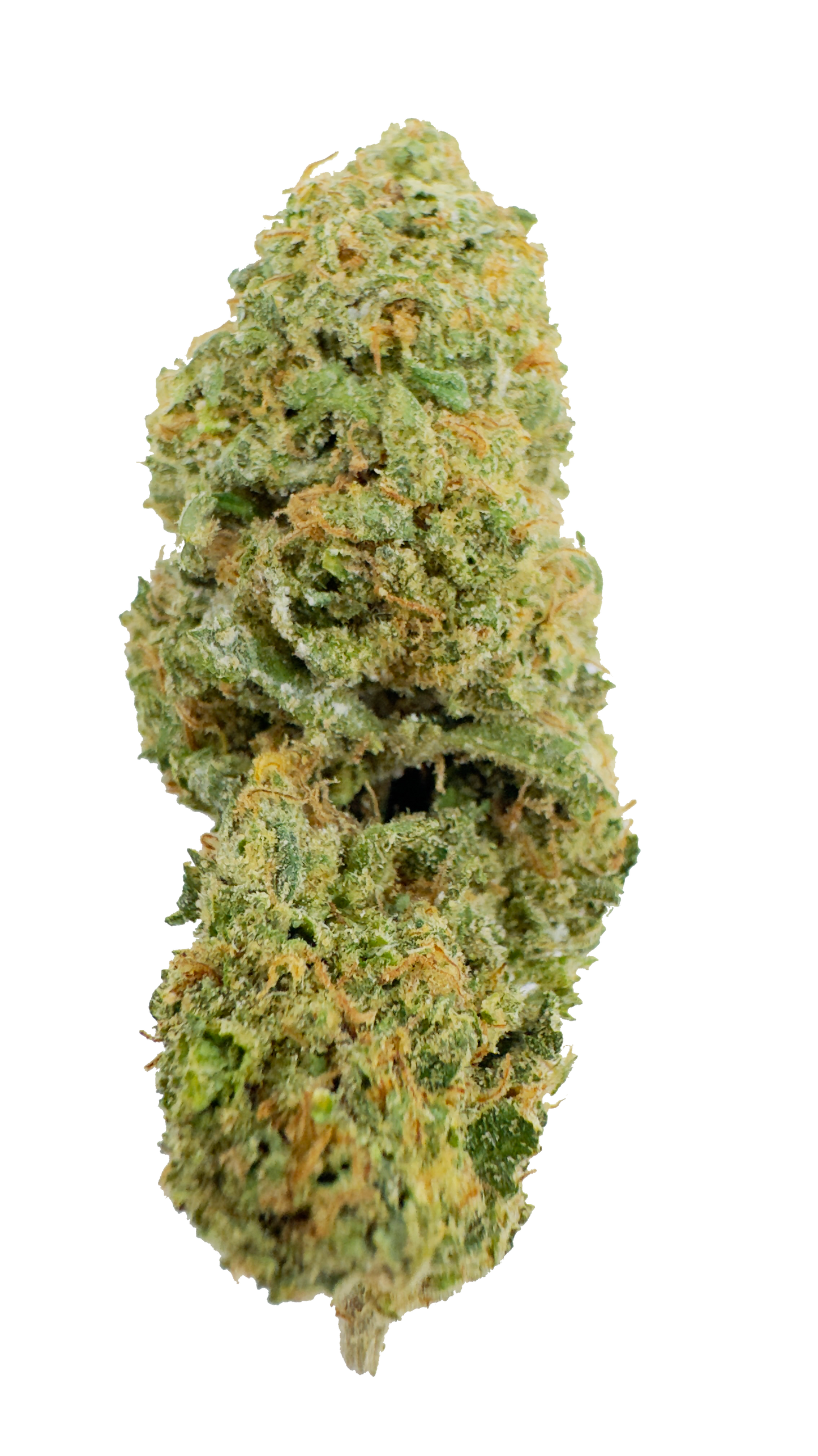 Mimosa CBD