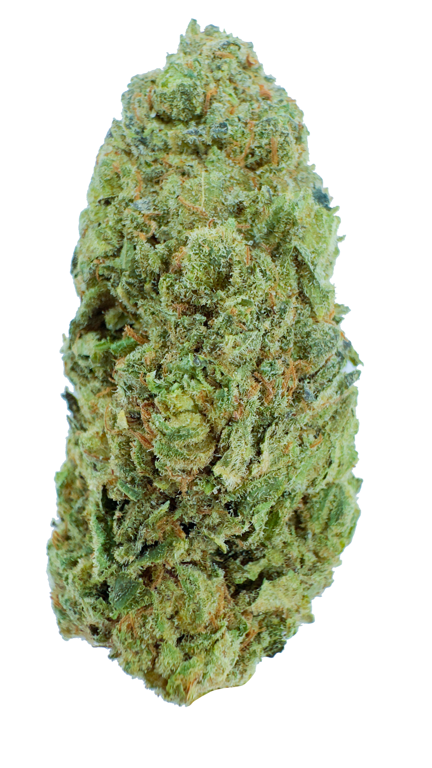 OG Kush CBD